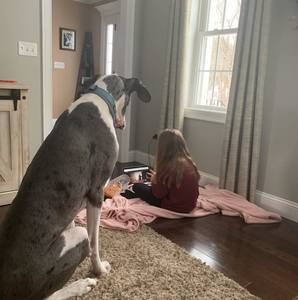 Meet your Posher, Kelli